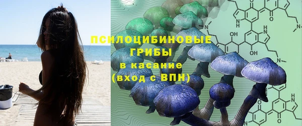 бошки Баксан